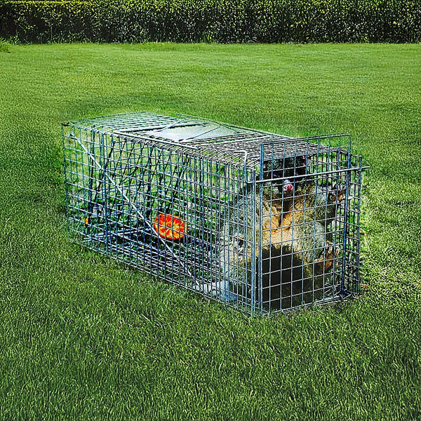 Humane Animal Cage