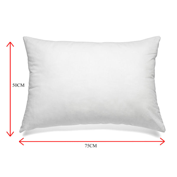 Twin Pack Feather & Down Pillows