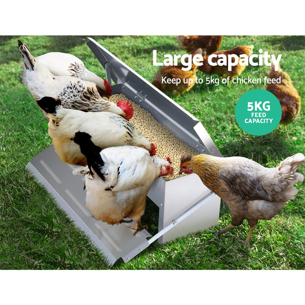 Auto Chicken Feeder