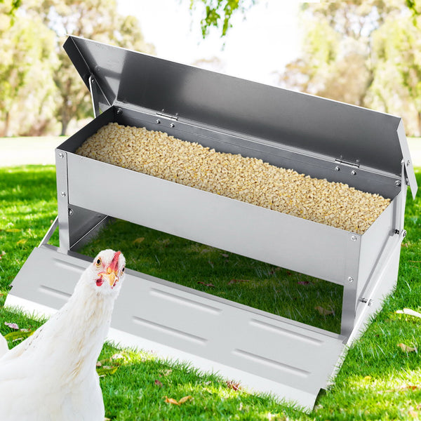 Auto Chicken Feeder