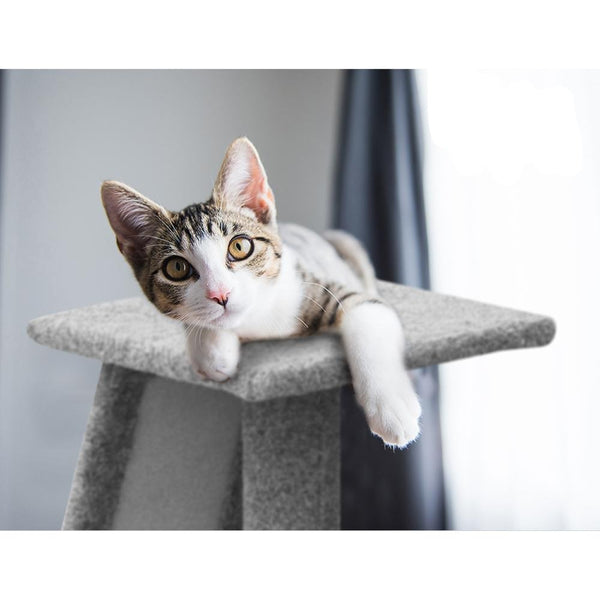 82cm Cat Scratching Post