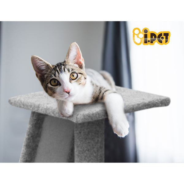 82cm Cat Scratching Post