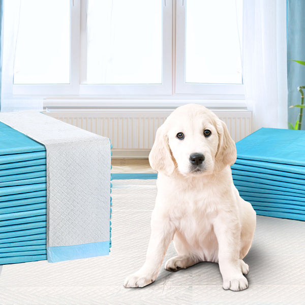 200pcs Pet Training Pads