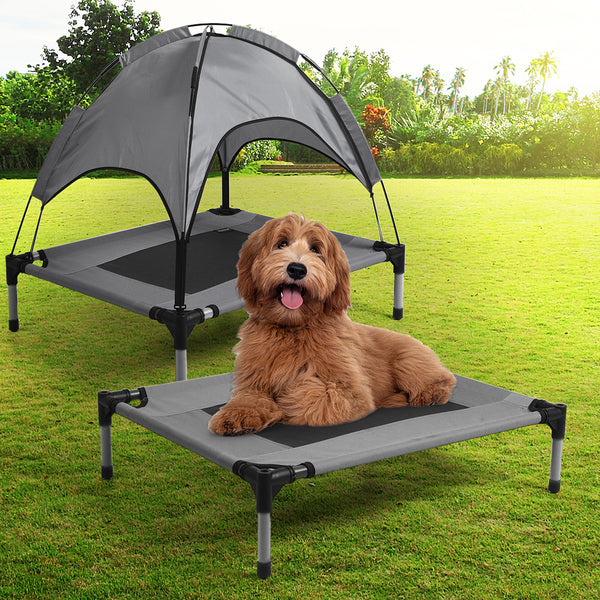 Pet Trampoline with Canopy