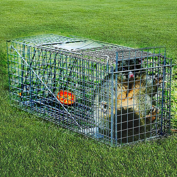 Humane Animal Cage